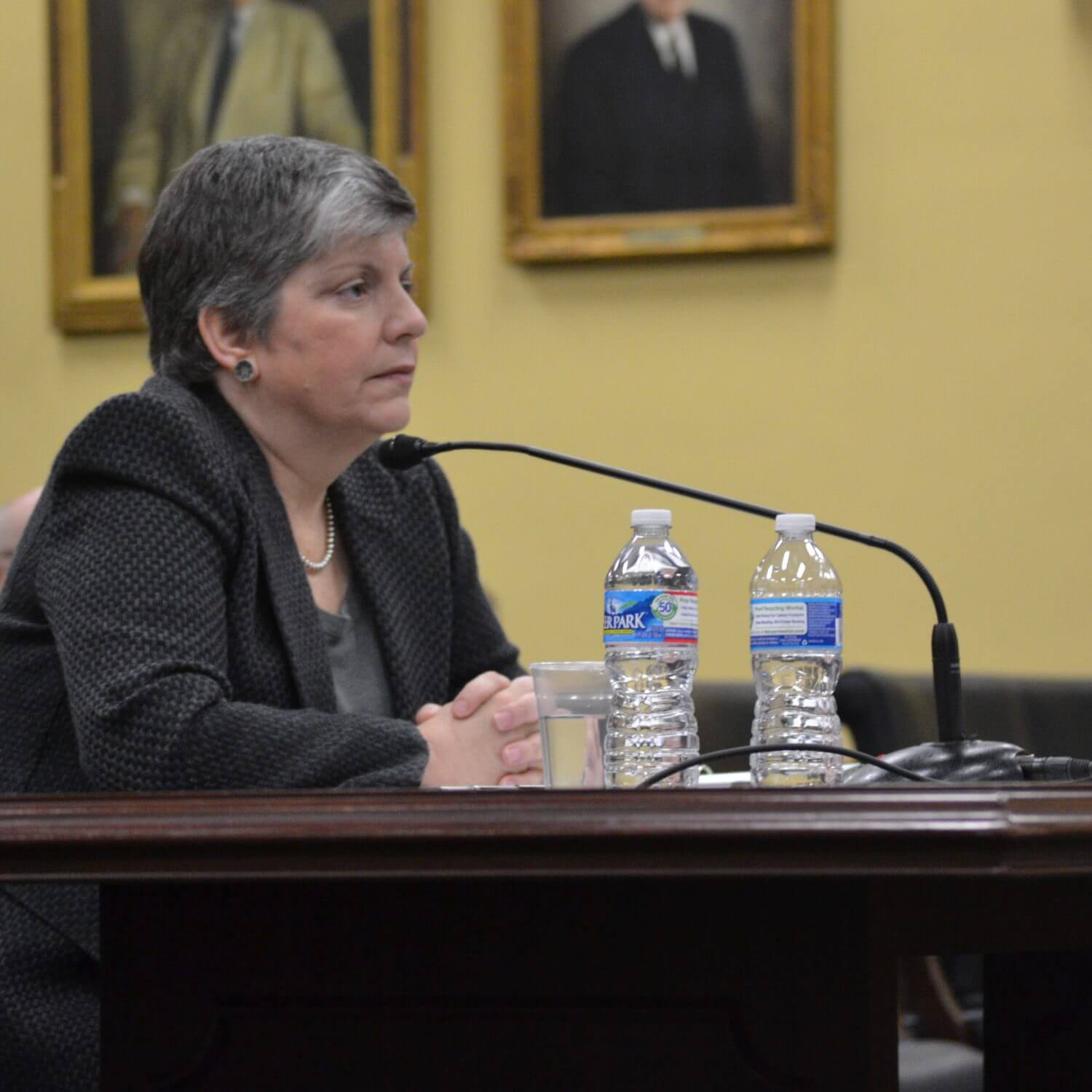 Napolitano calls for more private-sector collaboration at budget hearing
