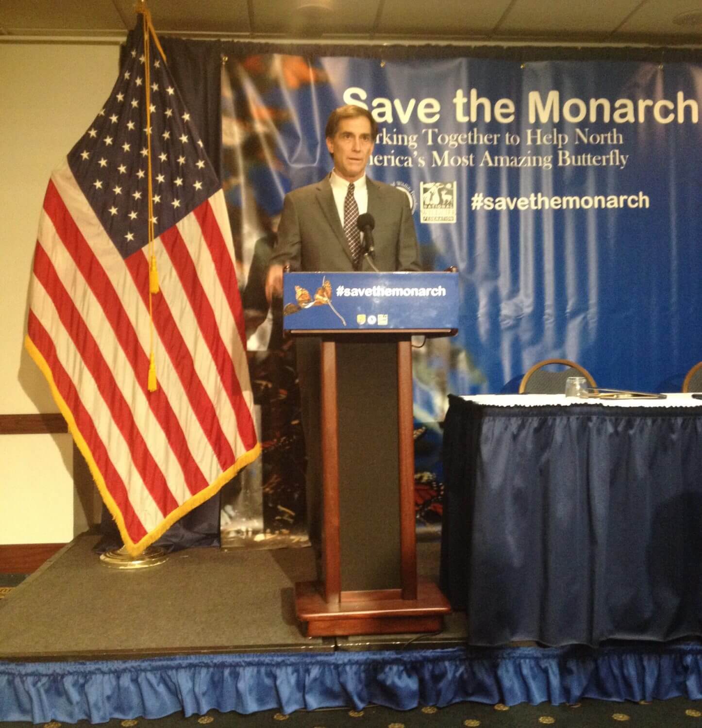 New initiative announced to save the monarch butterfly