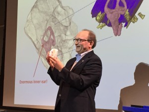 Sues holds a 3-D printed cast of a Timurlengia brain cavity during his presentation Monday morning (Nicolas Rivero/MEDILL)