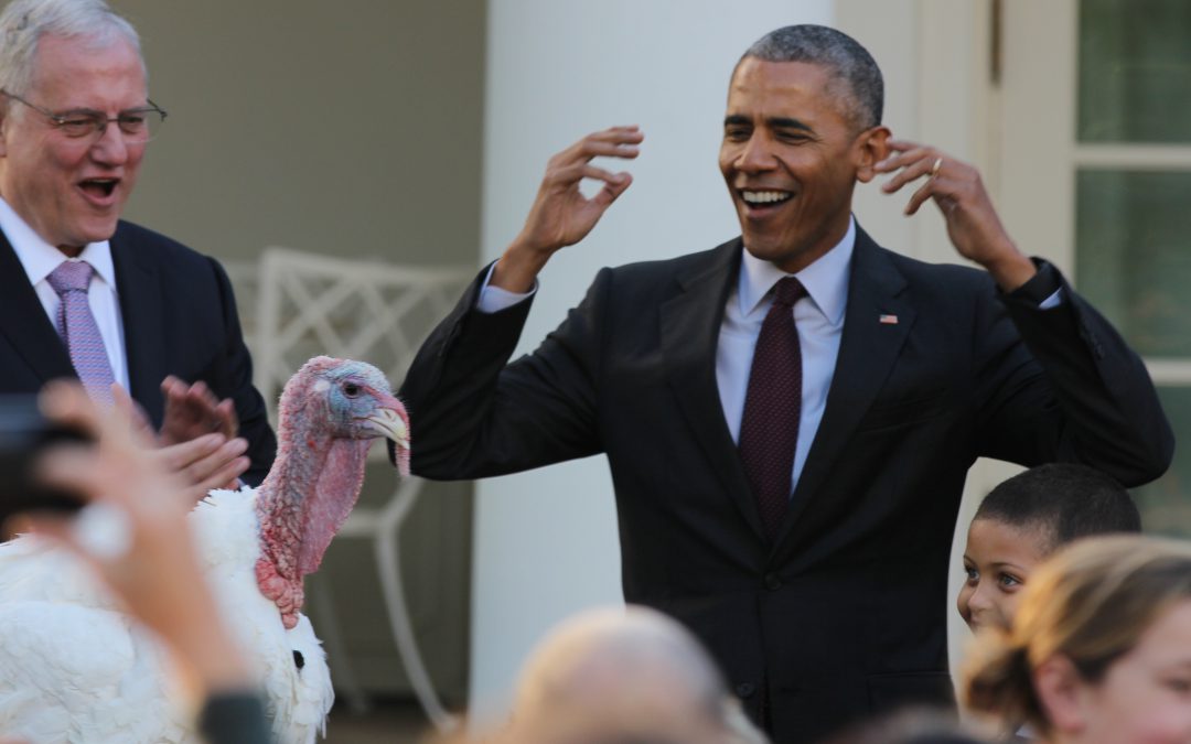 President Obama pardons turkey for last time
