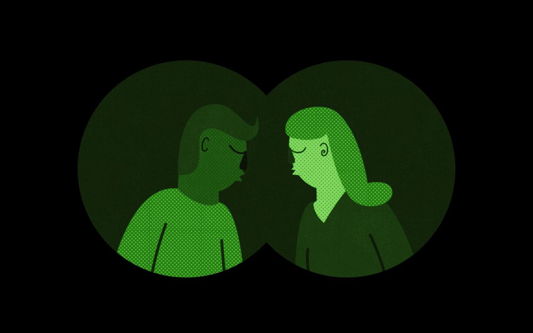 The unlikely suspects: Spies in the home