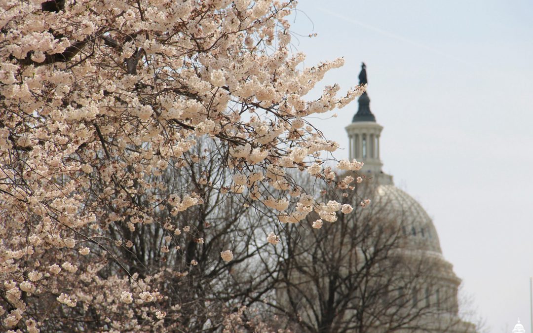 FCC tackles protections for domestic violence survivors, providing broadband to tribal communities