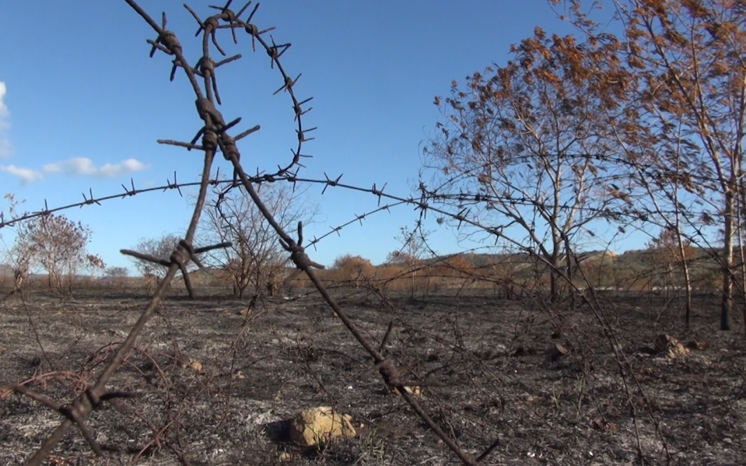 Amid Flames and Exploding Land Mines, Cuba and the US find Common Ground