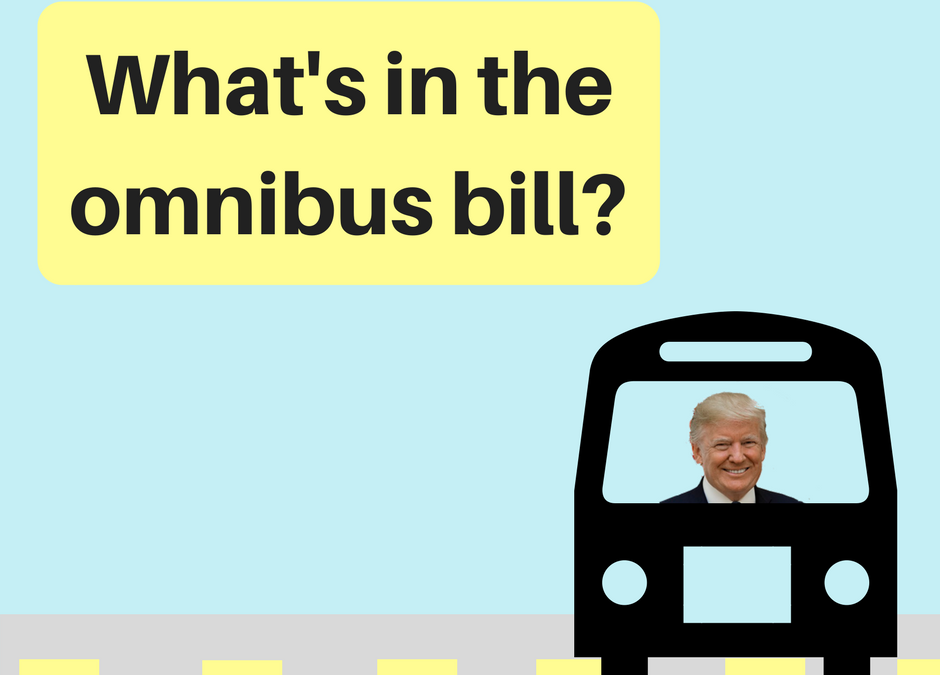 Breaking down the omnibus bill