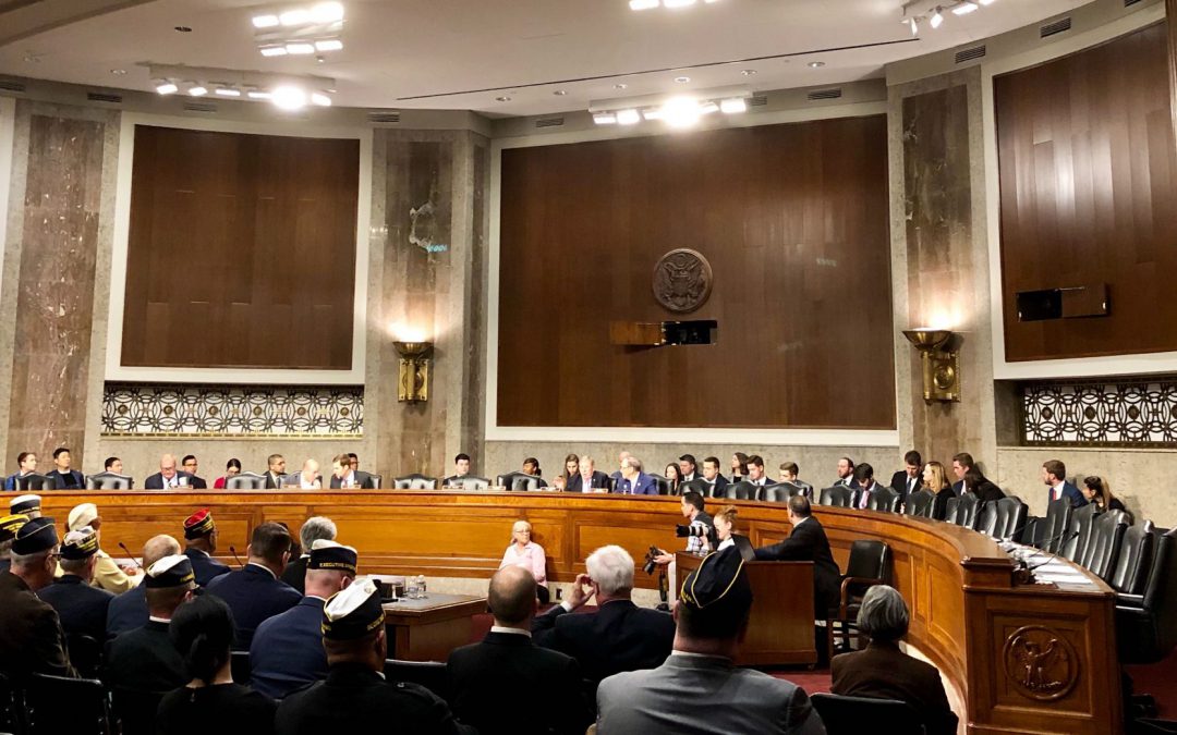 Veteran Organizations Speak at House, Senate Committee About VA Needs