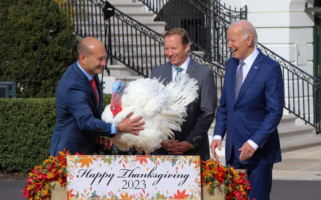Hundreds flock to White House for annual turkey pardoning