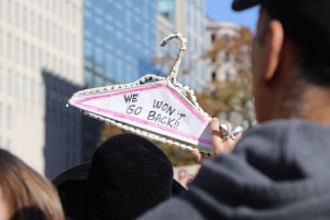 Protesters crafted creative signs to hold during the march. (Caroline Killilea/MNS)