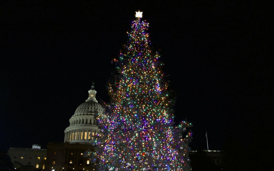 Capitol Christmas Tree lighting ceremony highlights Alaskan culture and people