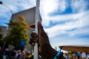 2 DSC 3784