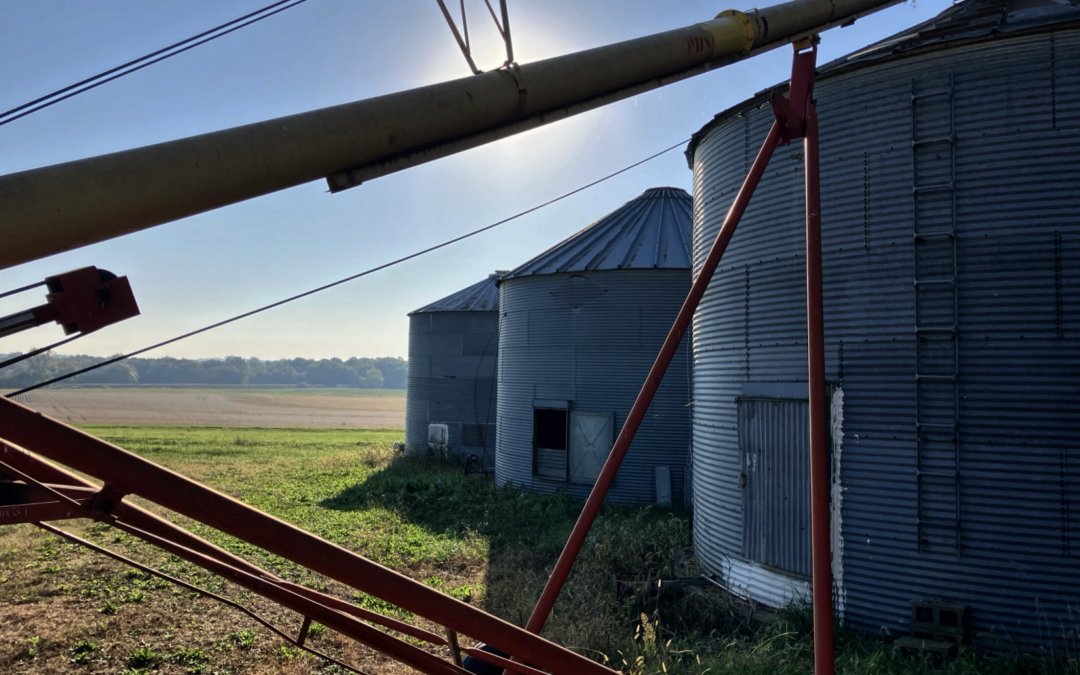 Soybean oil’s time to shine