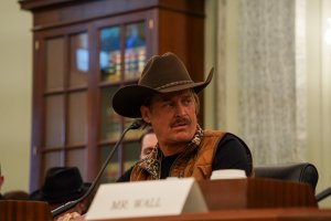 As Wall answered senators’ questions, Kid Rock expressed derision at his responses. (Cayla Labgold-Carroll/MNS)