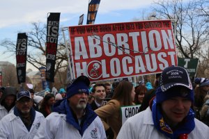 Some protesters carried signs comparing current abortion laws to the Holocaust. (Ben Shapiro/MNS)