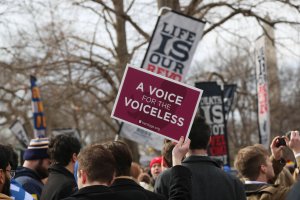 Marchers passed around signs, many of which included references to fetuses as defenseless beings. (Ben Shapiro/MNS)