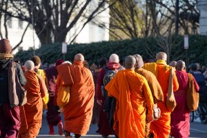 (Cayla Labgold-Carroll/MNS)