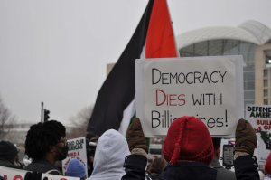 Protester Donna Powell called the Board of Peace another “Trump scam.” (Cate Bouvet/MNS)