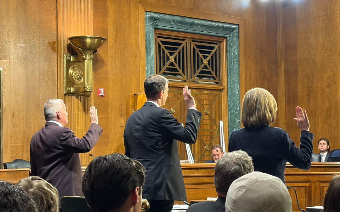 GOP senators slam Minnesota fraud, press for SCAM Act