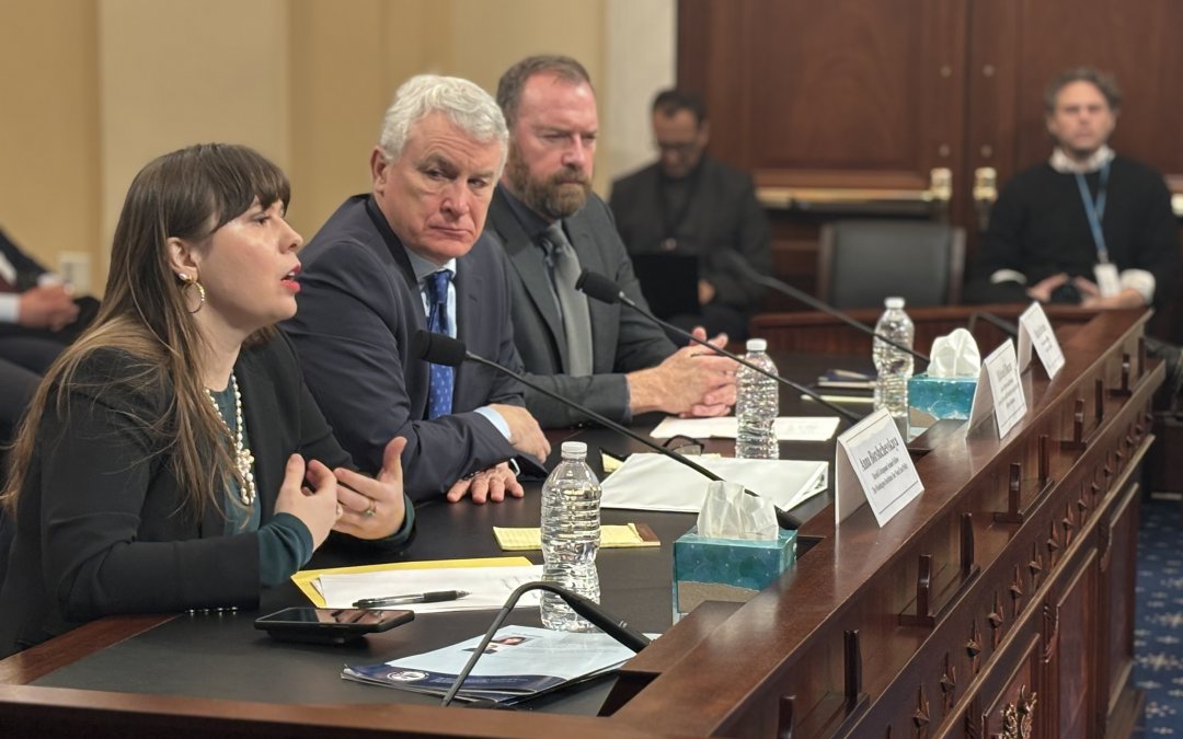 Lawmakers urge engagement with Turkey to remove Russian forces in Syria