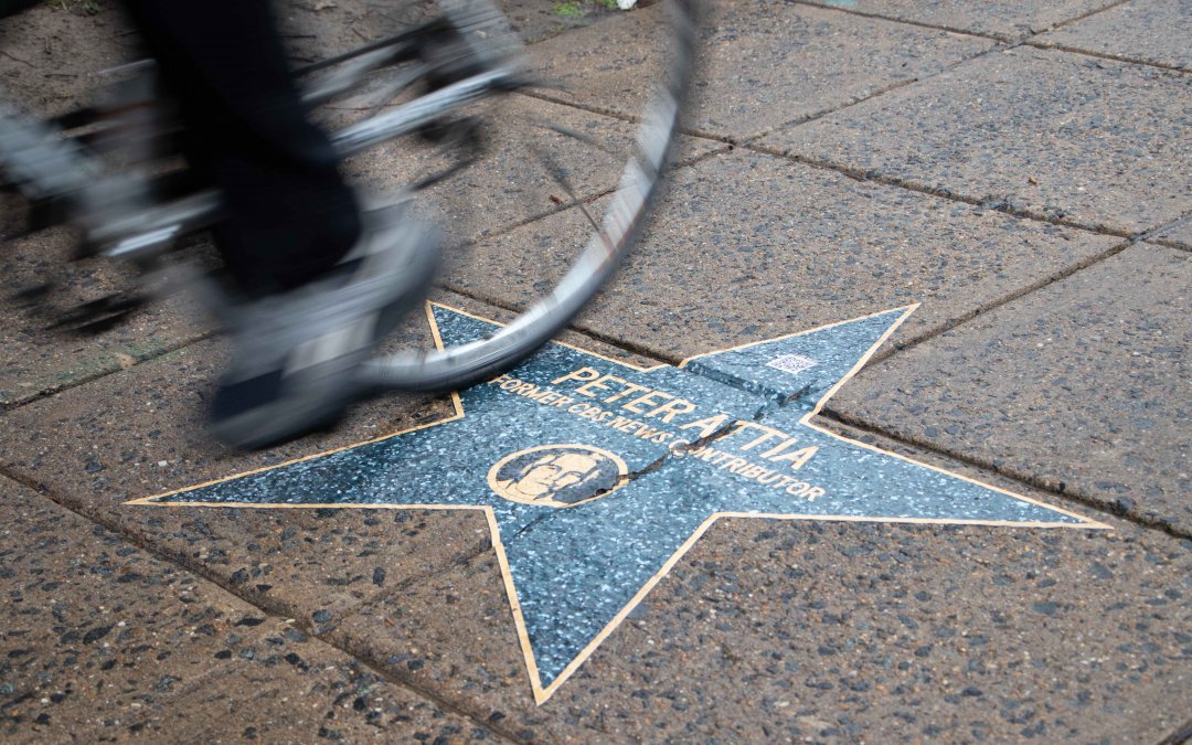 In Photos: ‘Jeffrey Epstein Walk of Shame’ appears in public park near White House