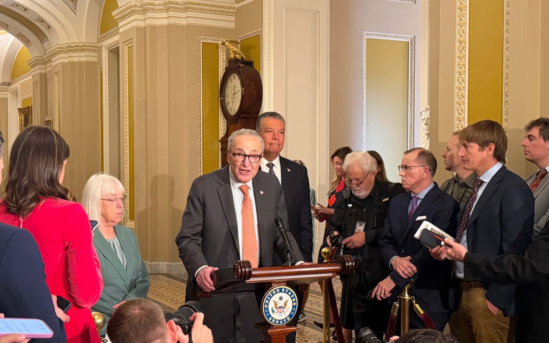 Senate fails to advance data center ratepayer bill amid clash over ‘toothless’ protections